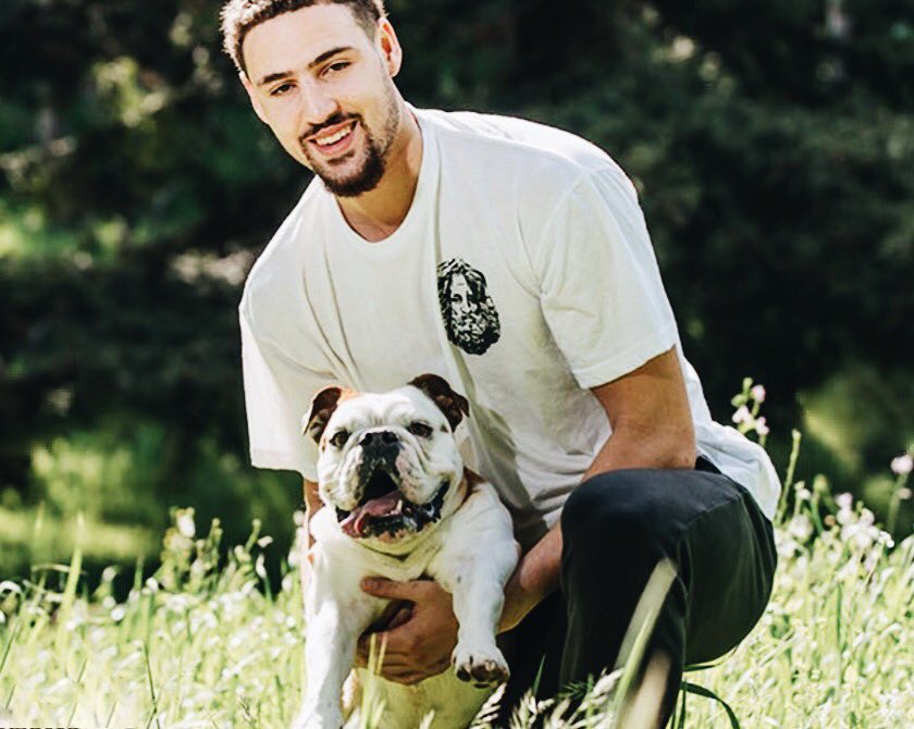 赵云忠诚度80，请求加入我军，收于麾下还是赶走？（赵云忠诚度80来投，我军该收编还是拒之门外？）